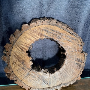 May include: A rustic wooden ring made from a tree trunk slice. The ring has a natural brown color and a rough, textured surface. The center of the ring is hollow, creating a circular opening.