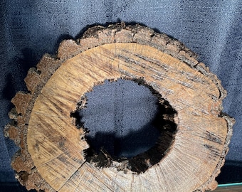 Naturally Hollowed Out Oak Tree Slice Dried with Polyurethane Base Coating (Customizable)