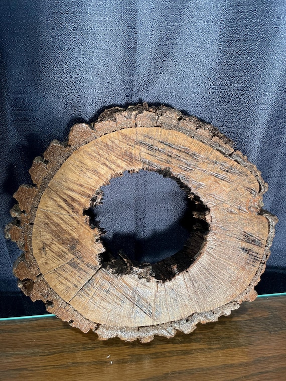 Naturally Hollowed Out Oak Tree Slice Dried with Polyurethane Base Coating (Customizable)