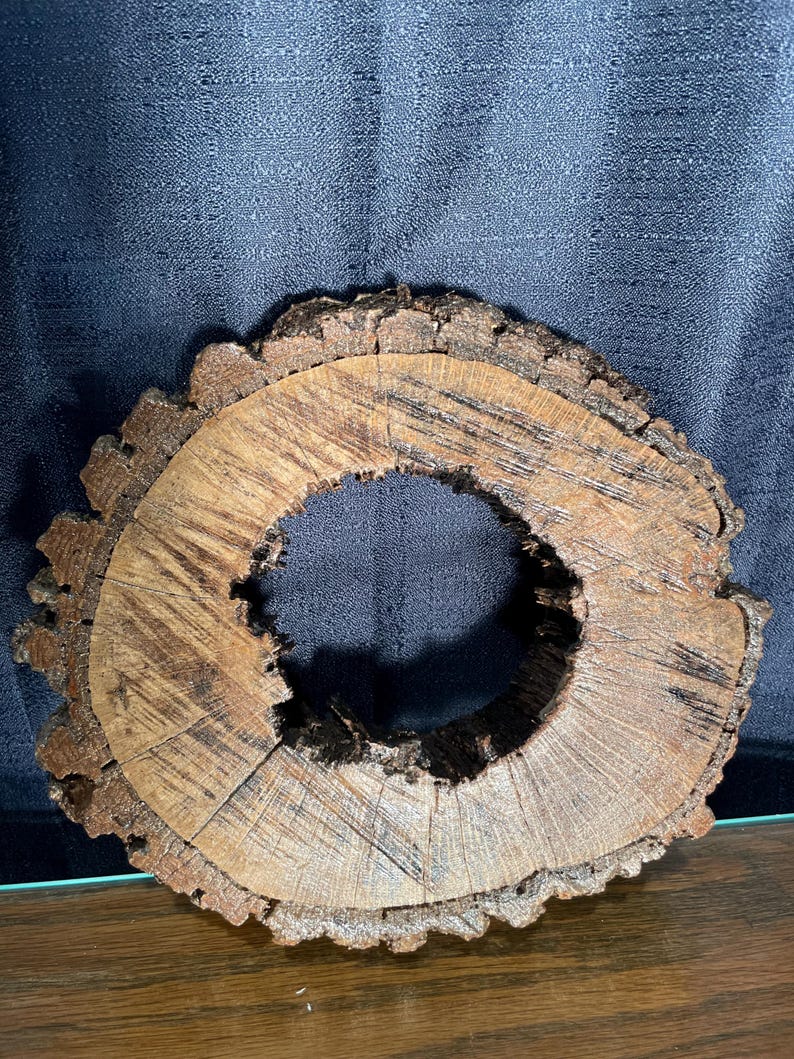 May include: A rustic wooden ring made from a tree trunk slice. The ring has a natural brown color and a rough, textured surface. The center of the ring is hollow, creating a circular opening.