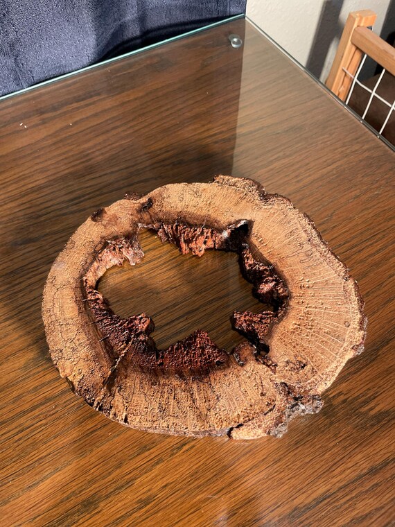 Naturally Hollowed Out Oak Tree Slice Dried with Polyurethane Base Coating (Customizable)