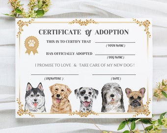 Dog Adoption Certificate, Puppy Party, Dog Certificate of Adoption, Lets Pawty Adoption Certificate Download Instant
