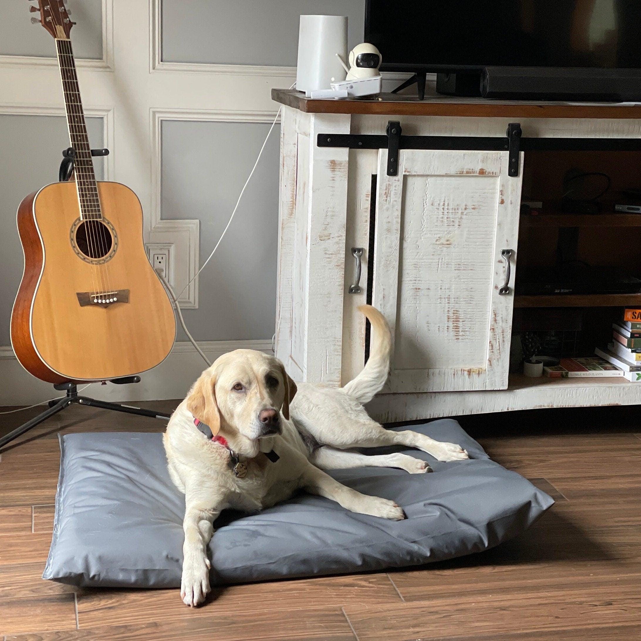 Incontinence Dog Bed