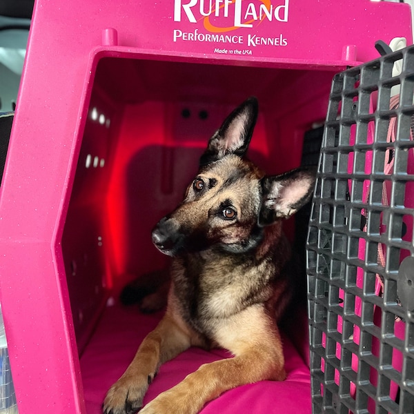 Tapete impermeável para canil RuffLand - Cores elegantes: rosa, vermelho, laranja, azul-petróleo, turquesa, verde, roxo, azul-marinho, dourado, cinza, coral CustomFitDog