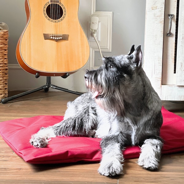 Red Waterproof Dog Show Crate Mat for Travel, Agility, Settle and Place Training