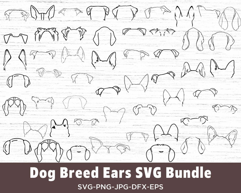 Dog Breed Ears Svg Bundle, Dog Breed Ears Svg, Dog Ears Outline Bundle ...