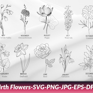 Birth flowers svg bundle, Birth month svg bundle, Birth month flowers svg, Wildflower svg, Birthday flower, Flower clipart, Botanical svg