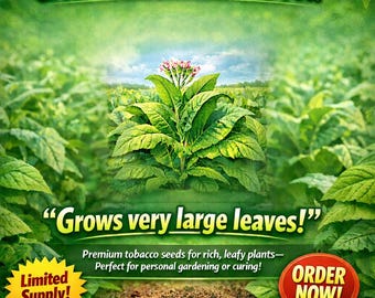 Tobacco 5000 Seeds / 1 Gr. - Organically Grown, GMO Free, for Planting