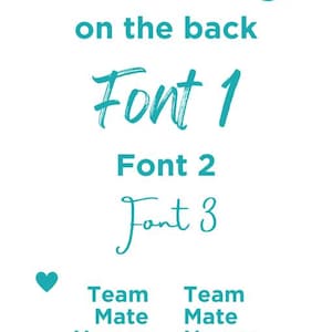 May include: A teal graphic display featuring the text Custom message on the back, followed by three distinct font styles labeled Font 1, Font 2, and Font 3. Below these, a small teal heart icon sits next to the text Team Mate Names repeated twice.