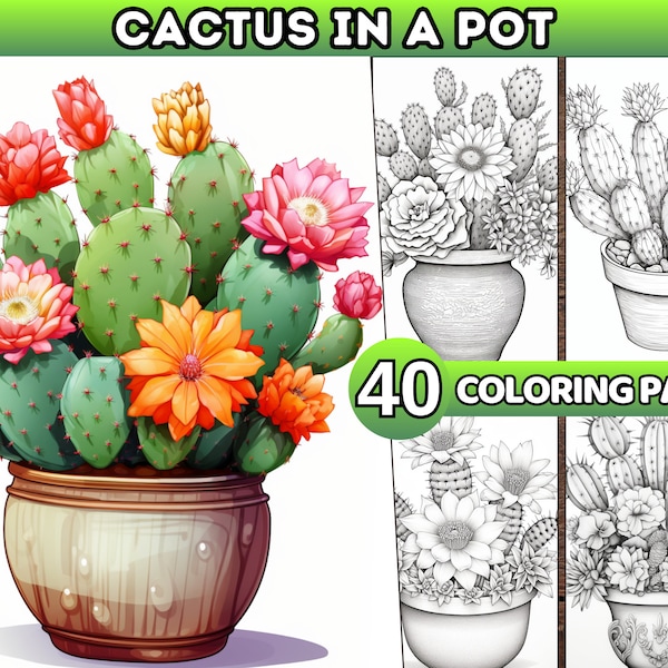 40 Floral Cactus Coloring Book Vase of Cactus Flowers Coloring Pages Botanical Fantasy Succulent Coloring Book Adults Blooming Cactuses PDF