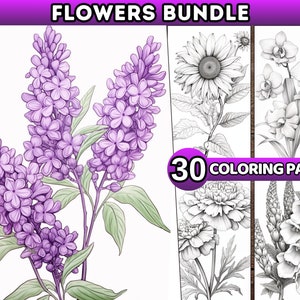 Adult Coloring Pages Flowers Coloring Book Coloring Pages Grayscale Coloring Pages Printable Flower Coloring Sheets Floral Coloring Page PDF
