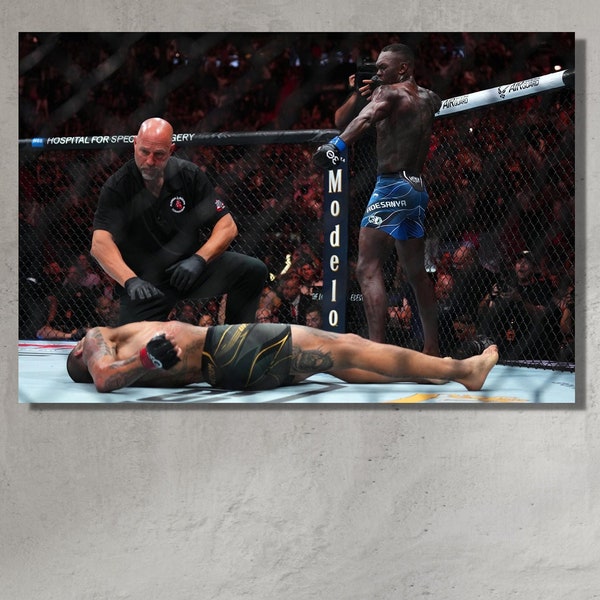 Israel Adesanya listo para colgar lienzo,Israel Adesanya celebra la flecha de Alex Pereira después de noquearlo,Cartel de UFC,Fanático de Israel Adesanya