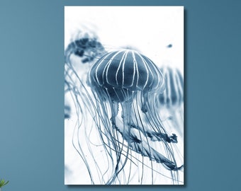Jellfyfish Print, Blue Jellyfish Wall Art, Jellyfish Photography ...