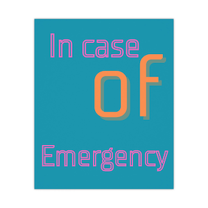 In Case of Emergency  Funny Airline Inspired Wall Art  Minimal Poster Print