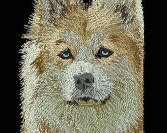 Servicios de Digitalización de Bordados Personalizados / Gran Calidad y Servicio Amable / 100% Satisfacción Garantizada /