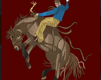 Servicios de Digitalización de Bordados Personalizados / Gran Calidad y Servicio Amable / 100% Satisfacción Garantizada /