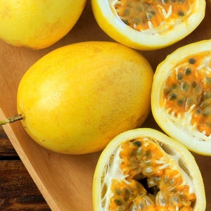 Yellow passion fruit live tree 1-2ft