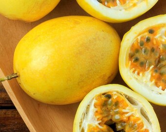 Yellow passion fruit live tree 1-2ft