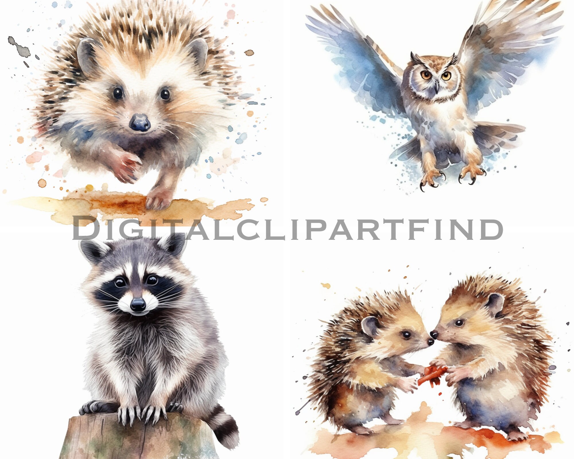 Woodland Animals Clipart Watercolor Clipart for Commercial Use ...