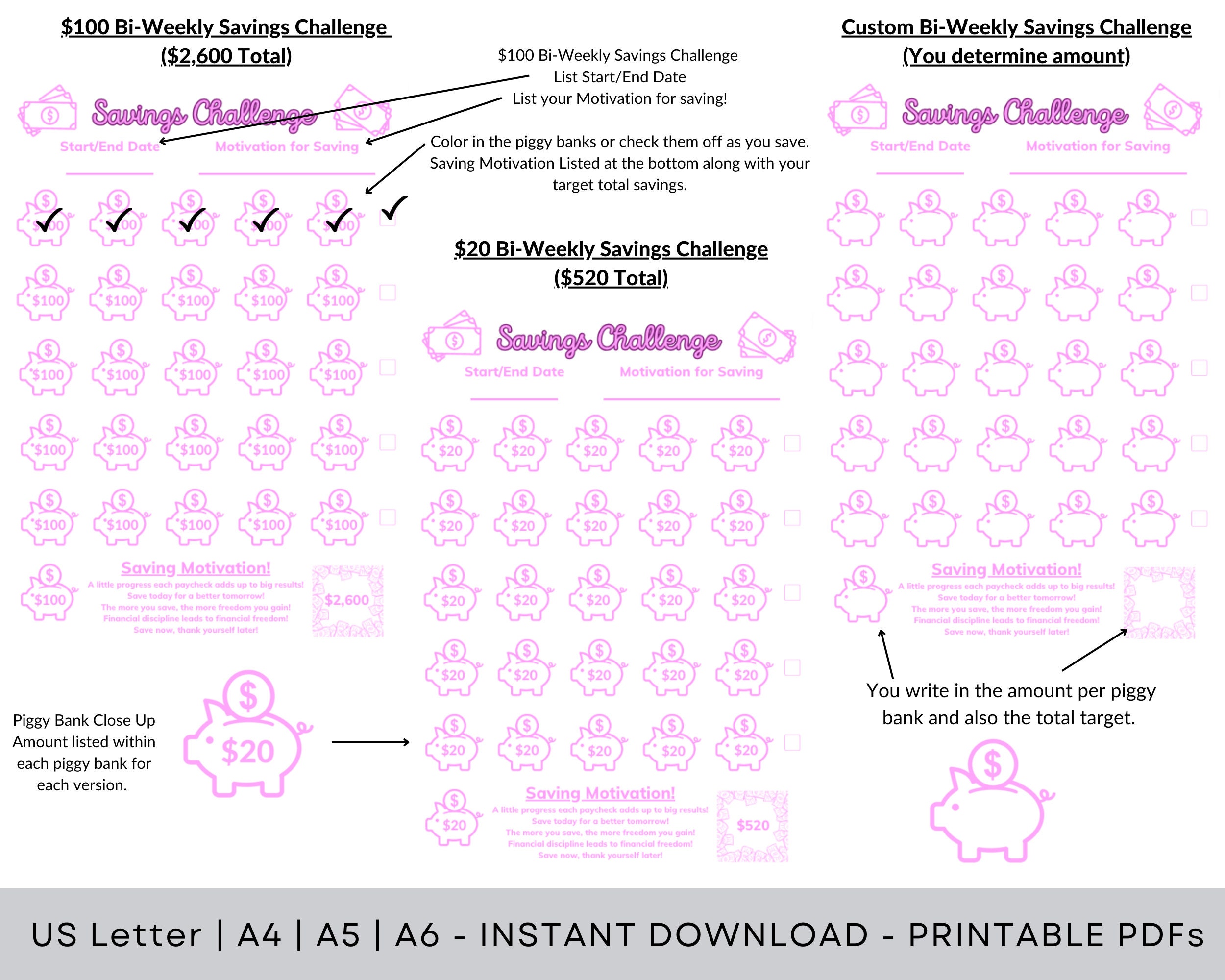Bi-weekly Savings Challenge Printables - Etsy