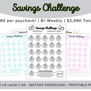 Savings Challenge, 80 Bi-Weekly, Save Cash, Save Money, Printable, 3 sizes, A4, US Letter, A5, Each in 10 colors, Digital Download
