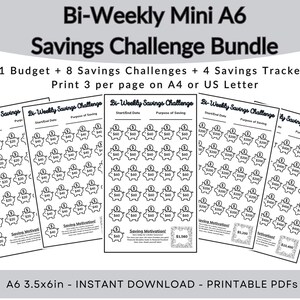 Biweekly Savings Challenge Printables Mini A6 Savings - Etsy