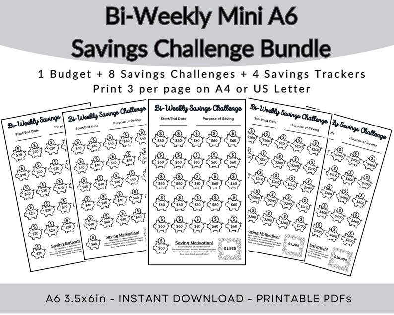 Biweekly Savings Challenge Printables Mini A6 Savings - Etsy