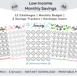 Op de afbeelding: Een printbare A6-formaat spaar-tracker met 12 maandelijkse uitdagingen. De tracker heeft een spaaruitdaging van € 100 voor elke maand, met verschillende thema's voor elke maand, waaronder pompoenen voor oktober, bloemen voor mei, sneeuwvlokken voor januari, klavertjesvier voor maart en strandballen voor augustus.
