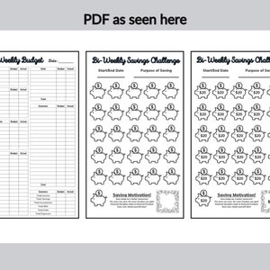 Biweekly Savings Challenge Printables Mini A6 Savings - Etsy