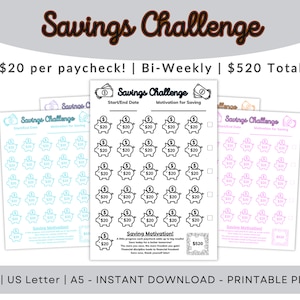 Savings Challenge, 20 Bi-Weekly, Save Cash, Financial Saving, Printable, 3 sizes, A4, US Letter, A5, Each in 10 colors, Digital Download