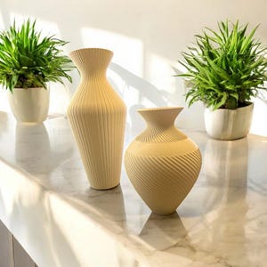 3D vases