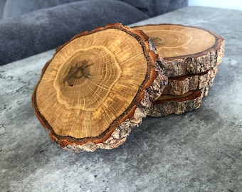Vintage Petrified Wood Tray: Retro Shelf Decor (14