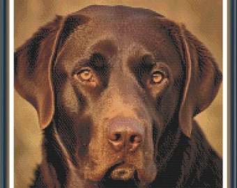 High Detail Chocolate Lab Cross Stitch Pattern