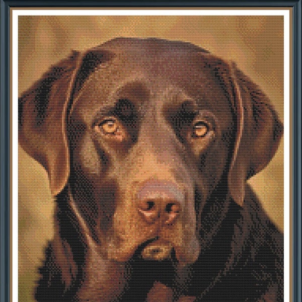 High Detail Chocolate Lab Cross Stitch Pattern