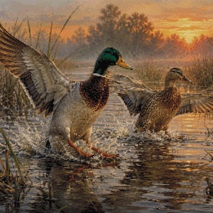 Mallard Ducks Cross Stitch Pattern PDF – Golden Marsh Sunrise, Wildlife Wetland Scene – Instant Digital Download – Pattern Keeper