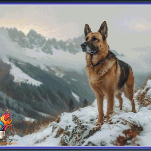 Puede incluir: Un perro pastor alemán se encuentra de pie en la cima de una montaña nevada, mirando el paisaje nevado. El perro es marrón y negro con el pecho y las patas blancas.