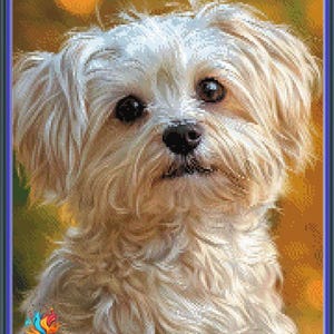 May include: A small, white, fluffy dog with brown eyes looks directly at the camera. The dog has a soft, furry coat and is sitting in front of a blurred background of yellow and orange.