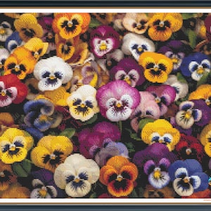 Può includere: Un'immagine ravvicinata di un gruppo di violette colorate. Le violette sono in varie tonalità di viola, giallo, arancione, rosso e bianco. I fiori sono disposti in uno schema casuale, creando una visualizzazione vibrante e allegra.