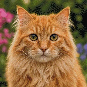 Schema per punto croce di un gatto rosso in formato PDF – Ritratto di gatto soriano arancione, fiori da giardino – Download digitale immediato – Compatibile con Pattern Keeper