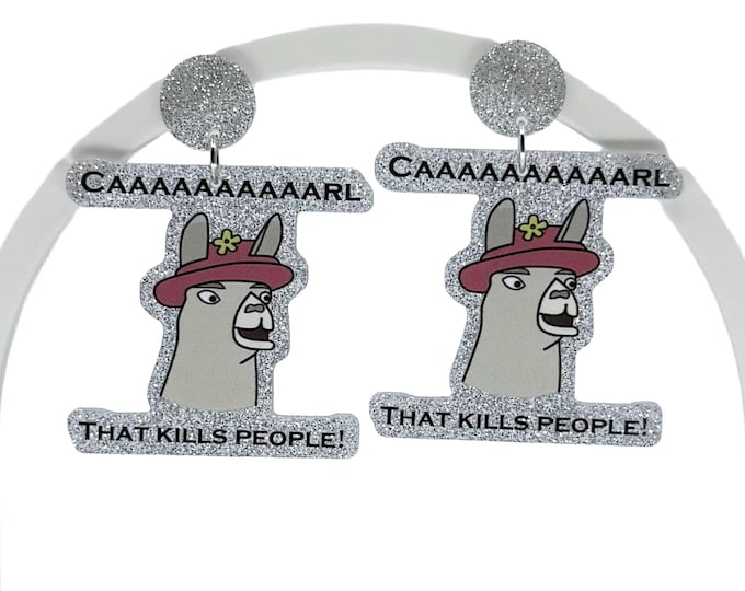 DCC Inspired Glitter Acrylic Drop Earrings, Book Nerd Humor (2.5" Drop)