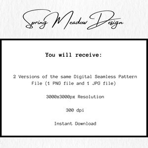 Op de afbeelding: Een digitale ontwerpafbeelding met de tekst "Spring Meadow Design" in cursief schrift. De afbeelding bevat een zwart omkaderde doos met tekst die het digitale product beschrijft: twee versies van een naadloos patroonbestand, 3000x3000px resolutie en direct downloaden.