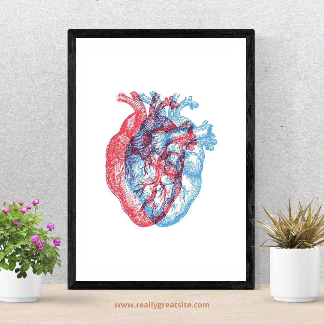 Anatomical Heart Art Print (three Sizes) - Etsy