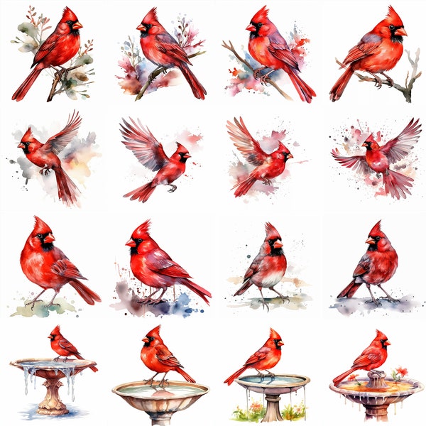 Watercolor Red Cardinal Bird Clipart - 16 High Quality PNGs - Digital Download - Commercial Use - Card Making, Mixed Media, Digital Crafting