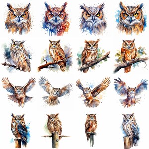 Aquarell Eule Clipart - 16 hochwertige PNGs - digitaler Download - kommerzielle Nutzung - Kartenherstellung, Mixed Media, Digital Crafting