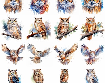 Watercolor Owl Clipart - 16 High Quality PNGs - Digital Download - Commercial Use - Card Making, Mixed Media, Digital Crafting