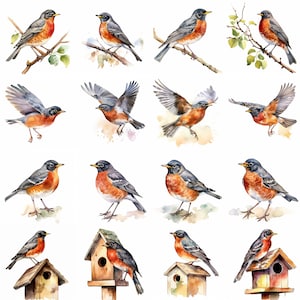 Watercolor Robin Clipart - 16 High Quality PNGs - Digital Download - Commercial Use - Card Making, Mixed Media, Digital Crafting