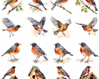 Watercolor Robin Clipart - 16 High Quality PNGs - Digital Download - Commercial Use - Card Making, Mixed Media, Digital Crafting