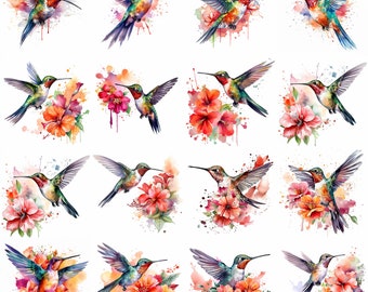 Acuarela Colibrí Clipart - 16 PNG de alta calidad - Descarga digital - Uso comercial - Fabricación de tarjetas, Técnica mixta, Elaboración digital