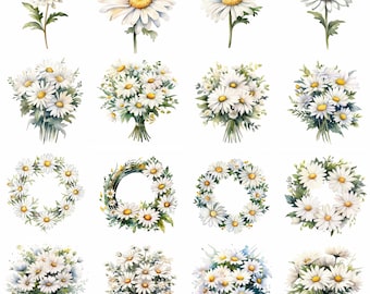Watercolor Daisy Daisies Clipart - 16 High Quality PNGs - Digital Download - Commercial Use - Card Making, Mixed Media, Digital Paper Craft