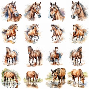 Aquarell braunes Pferd Clipart - 16 hochwertige PNGs - digitaler Download - kommerzielle Nutzung - Kartenherstellung, Mixed Media, Digital Crafting